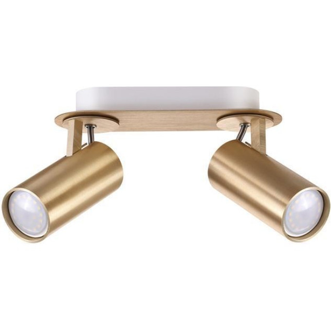 Спот ODEON LIGHT CORSE 3876/2C